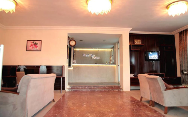 Anemonia Hotel