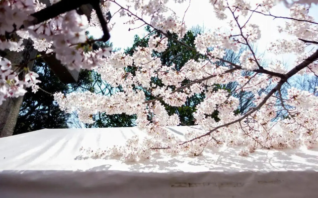 Tora Hotel Taito - Vacation STAY 53059v