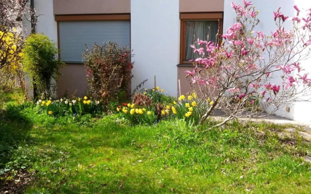 Apartments Villa Center Pic