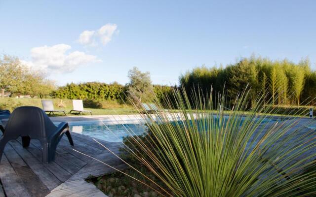 La Caverie De Peyroux A Orthevielle (40300)