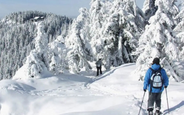 Mountain Apartment in Bad Kotzting