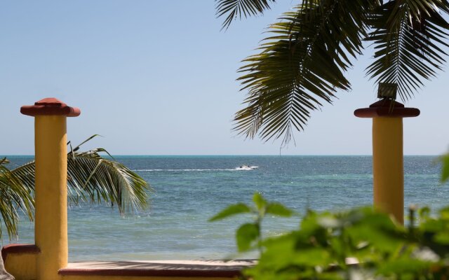 Peaceful & Confortable Oceanfront Studio