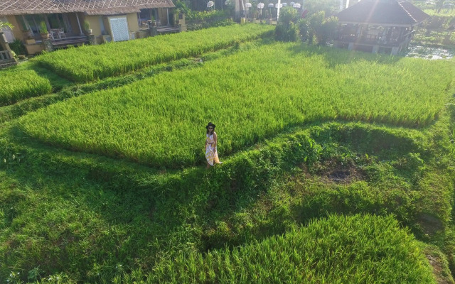 Wapa di Ume Ubud Resort & Spa