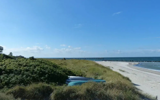 Apartment in Ostseebad Ahrenshoop