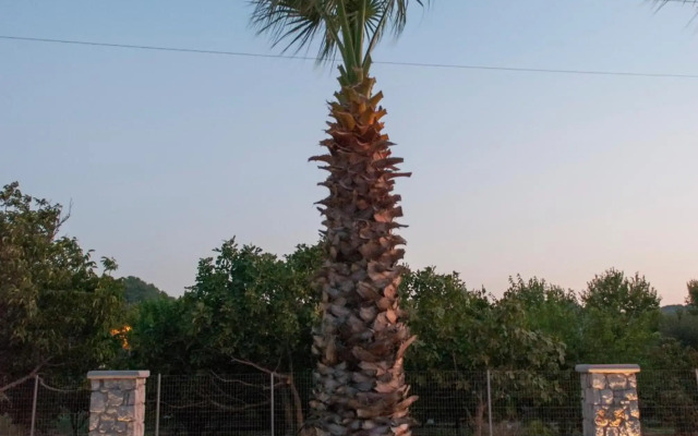Vergina Sun