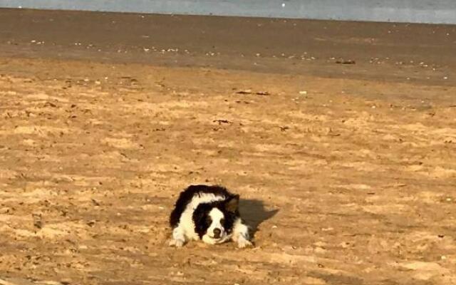 The Sun Trap @ Bridlington's Bed & Bowl Beach Breaks