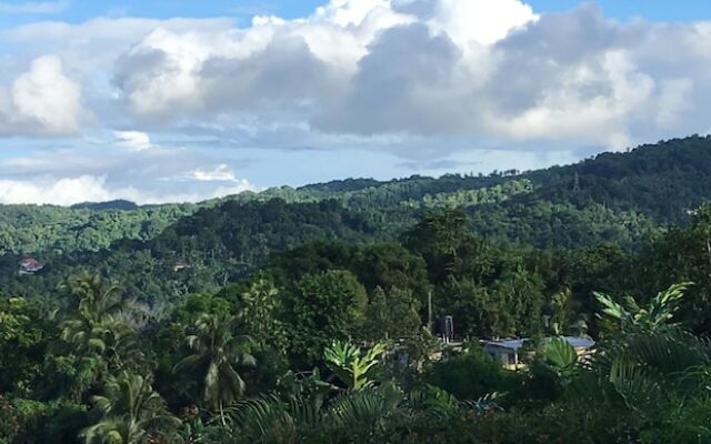 Treetops Villa