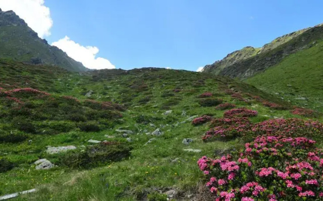 Apartment Kleinlercher