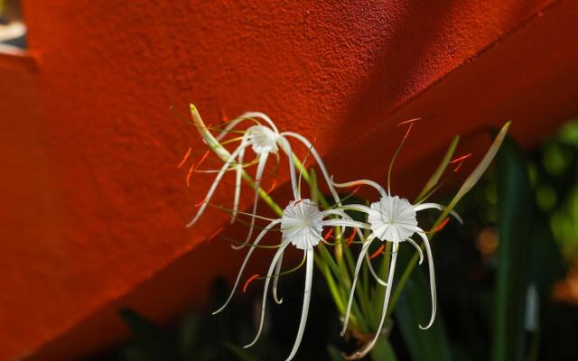 The Estate Resort, Mangalore