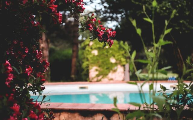 La Roane Yoga & Creativity Center