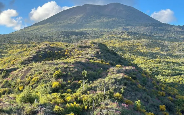 Villa De Cillis Carafa