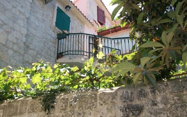 Jare - in old Town - R1 Zelena