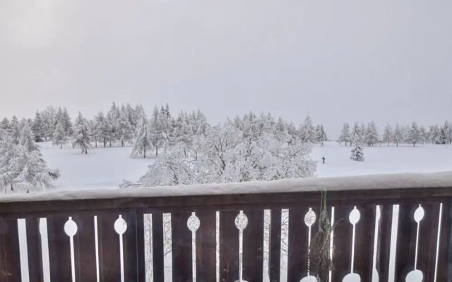 Valaisia 131 Riederalp