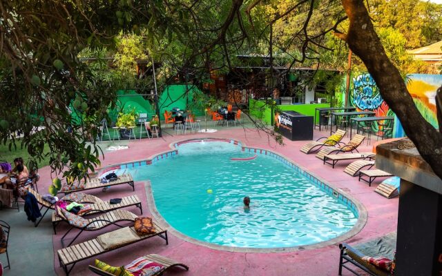 Livingstone Backpackers