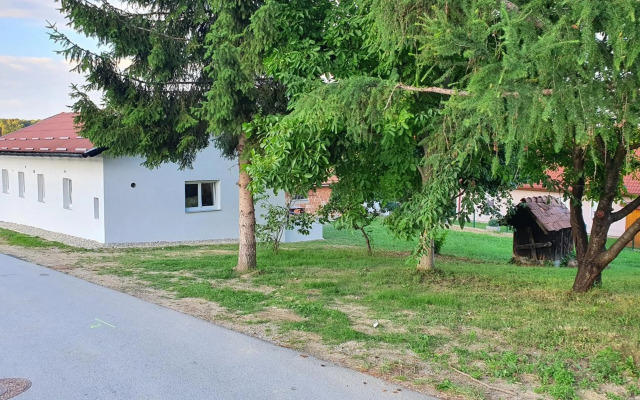 Rooms and apartments Vili