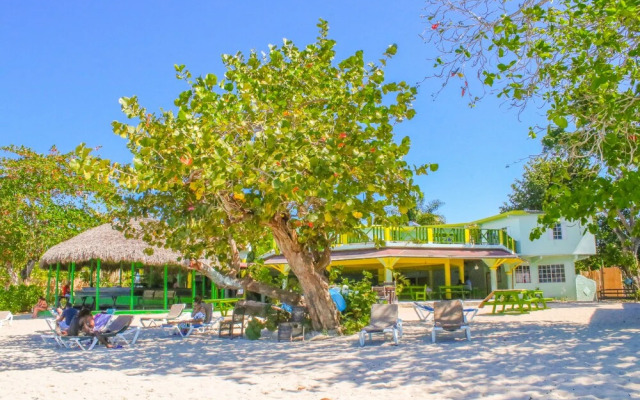 Aqua Verde- Burbon Beach Club