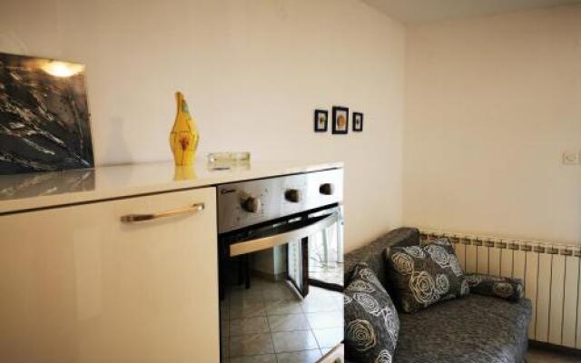 Apartman Žic