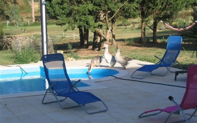 Chambres dHotes Au Chien Bleu