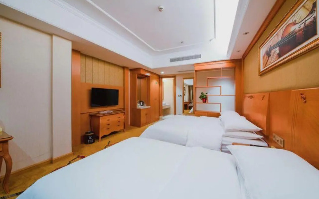 Vienna Hotel (Shanghai Gucun Park)