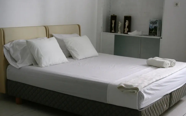 Neoclassical ART-House Bhive