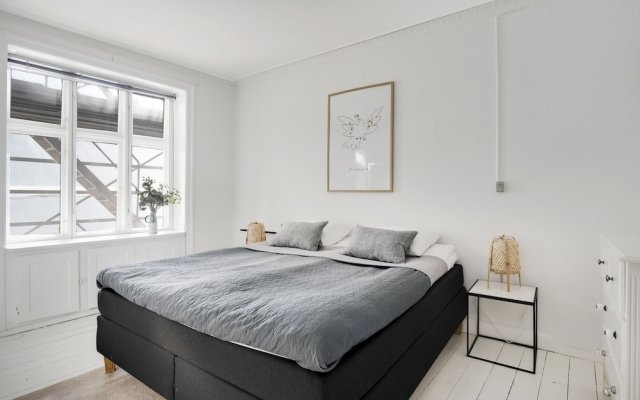 Cozy Two-bedroom Apartment in Copenhagen Osterbro