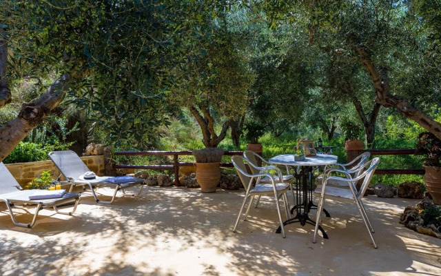 The Olive House