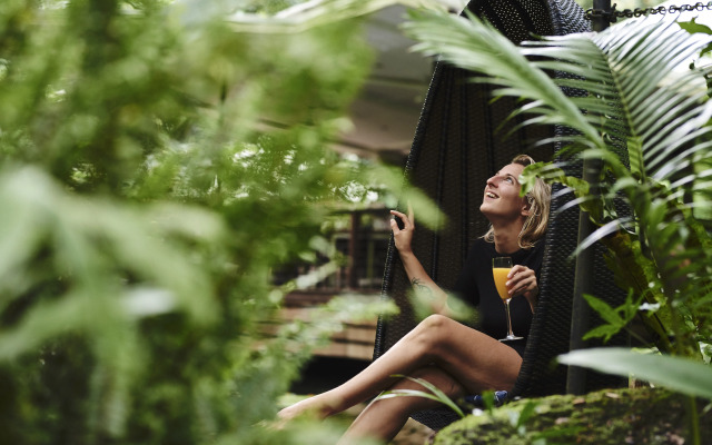 Daintree Ecolodge