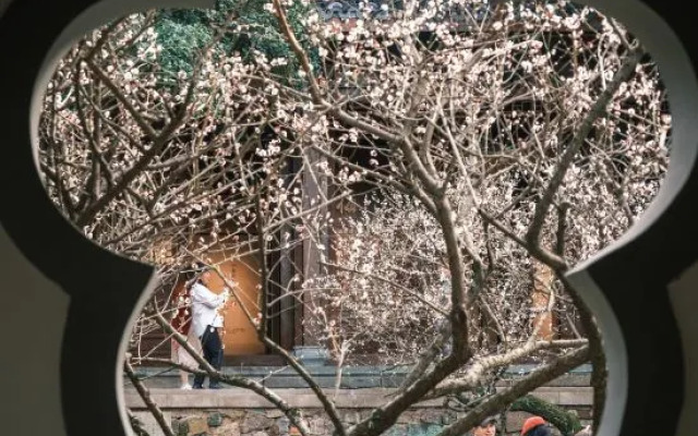 Hangzhou Shuimo Zhuang Private Home Forest Hotel (Chaoshan Scenic Area)