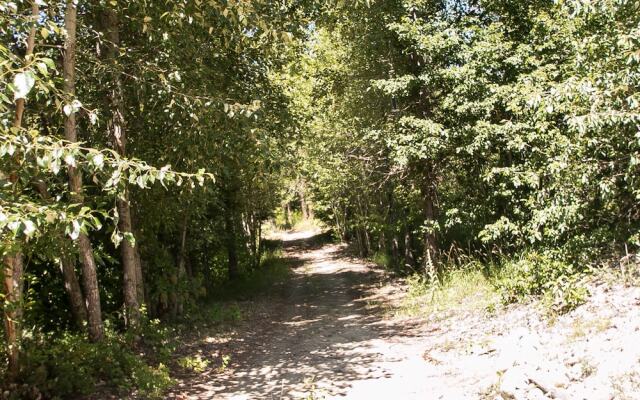 Serenity Pines Lodge in Shugart Flats