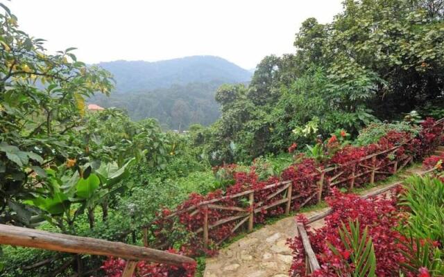 Gorilla Safari Lodge