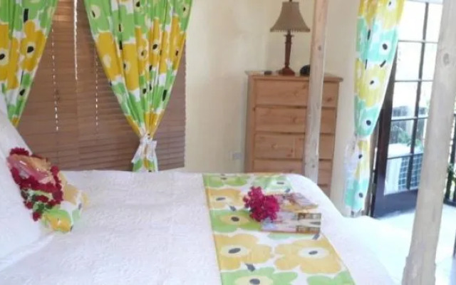 The Sugar Apple B & B