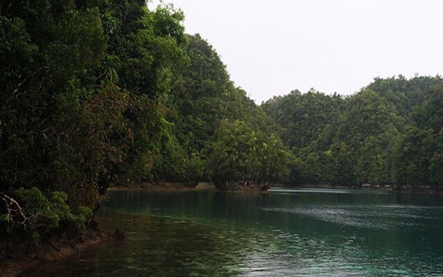 Tarzans Beach Resort