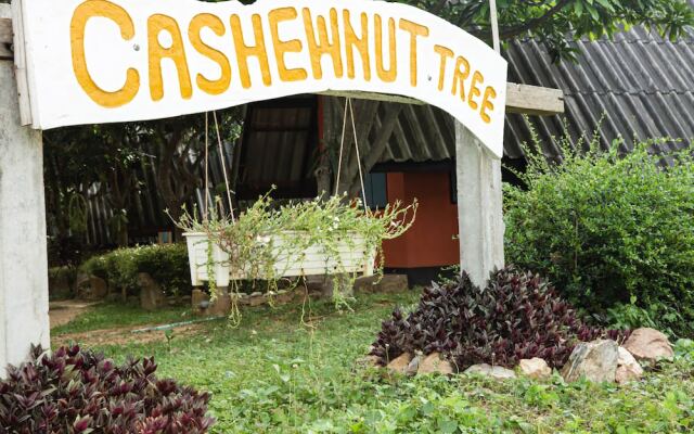 Cashewnut Tree Bungalows