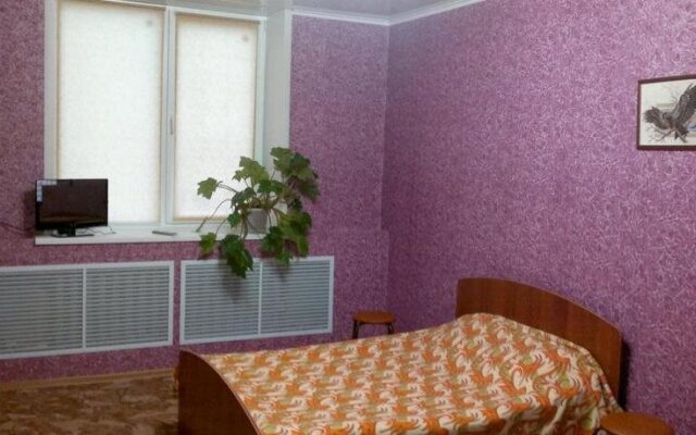 Hotel Volga