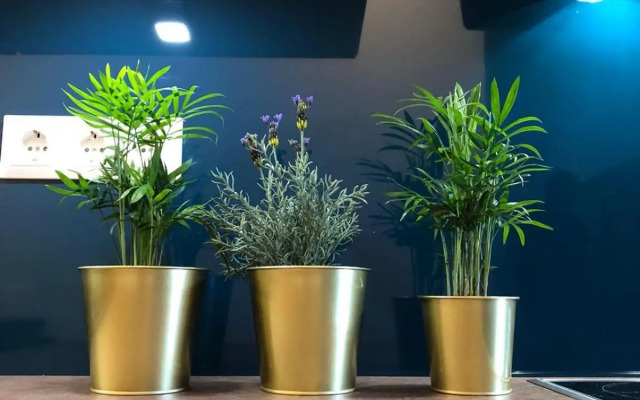 back to school (rote Schule)