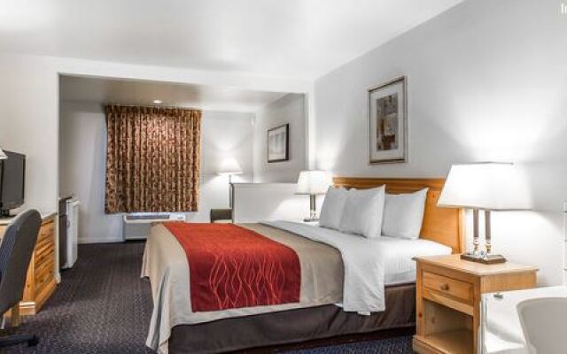 Comfort Inn At Sequoia Nationa