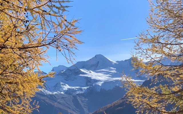 Bergfreude Saas-grund