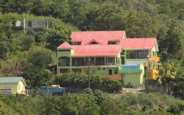Tropical Paradise View