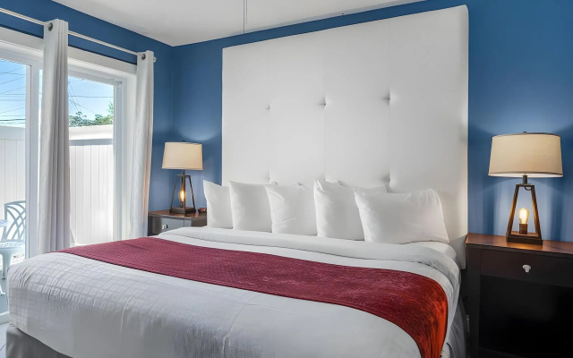 Avalon Hotel Downtown St. Petersburg