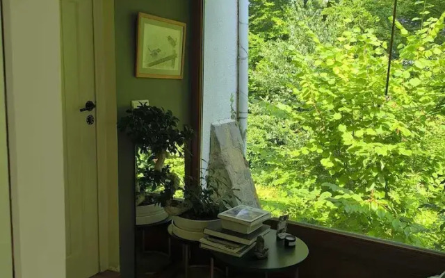 Charming Studio the Heart of the Forest