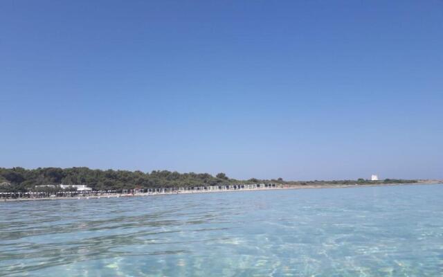 Appartamento orchidea