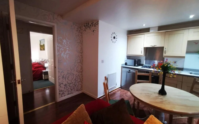 Modern and Cosy Apartment in North London, UK