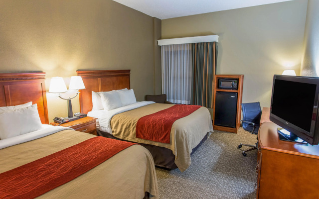 Comfort Inn Opelika - Auburn