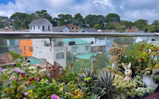 Selena Dalat Homestay