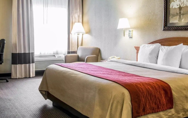 Quality Inn and Suites Airport