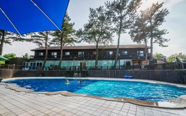 Jeju Solveige Pension