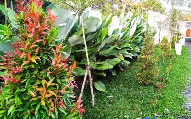 Villa Bale Tentrem Pamungkas