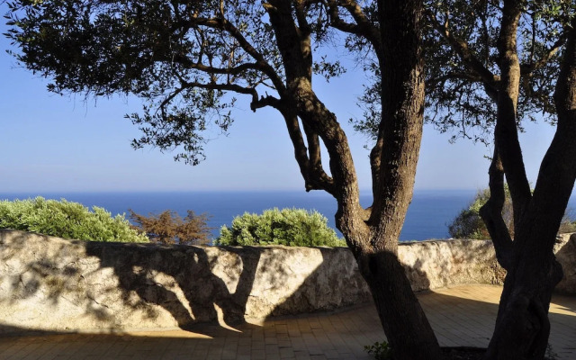 Scogliera del Gabbiano