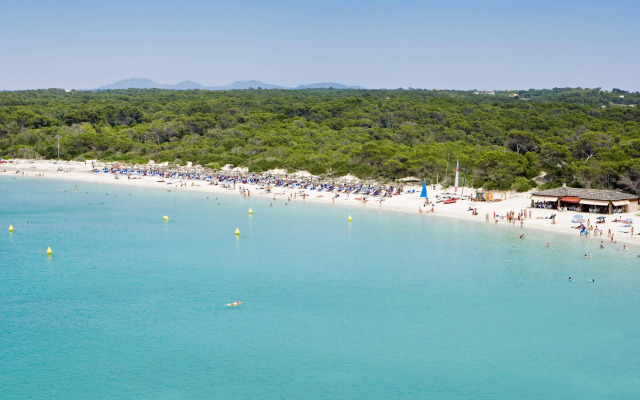 Universal Hotel Marqués