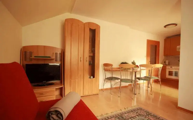 Ski In/Ski Out Appartements Tritscher